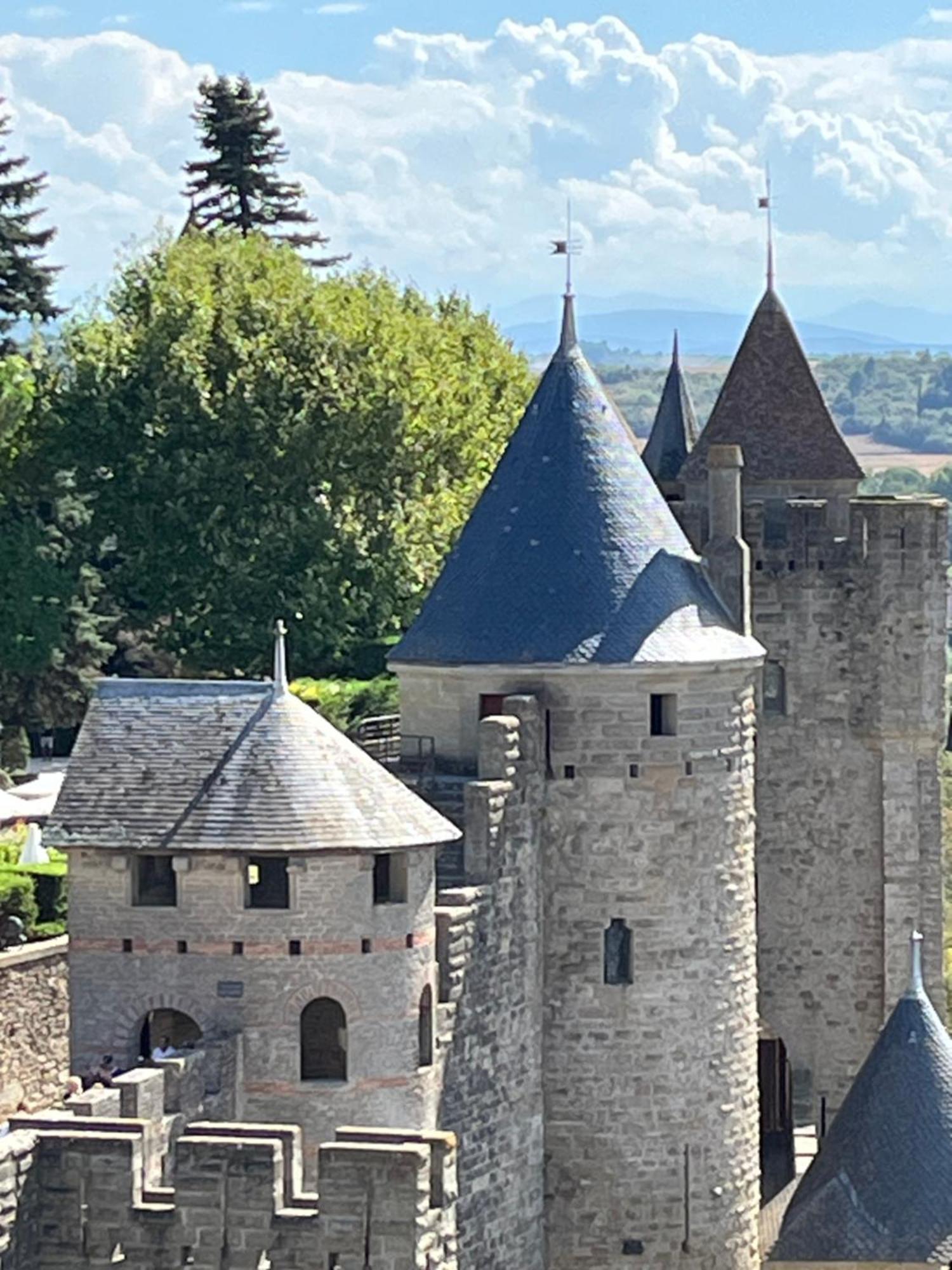 Appartement Tres Calme, Rdc, 800 M De La Cite Medievale Classee Au Patrimoine De L'Unesco Carcassonne Exterior photo